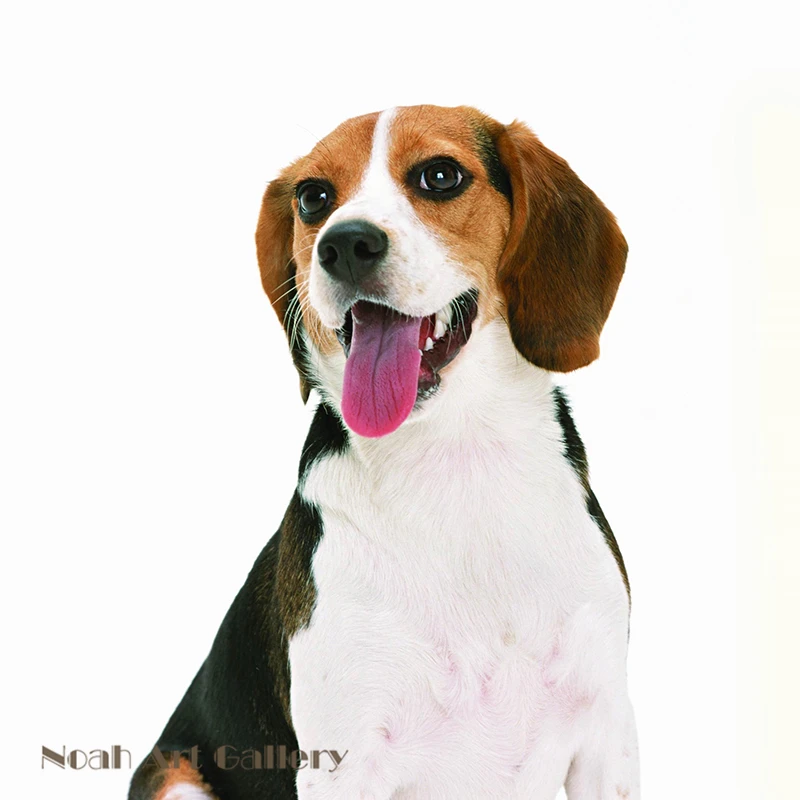 Настенный художественный Рисунок с животными американская порода собак