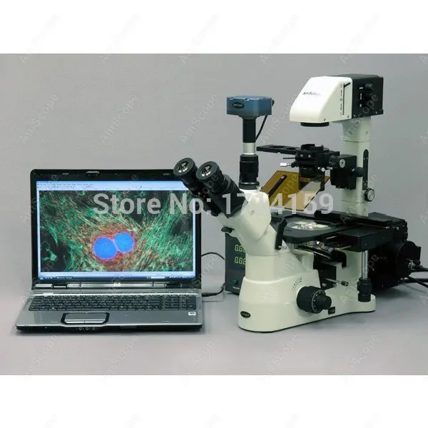 USB CCD Camera AmScope Supply 5.0MP флуоресцентная камера микроскоп|microscope with usb camera|camera adaptormicroscope