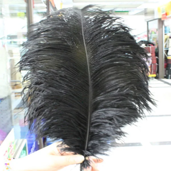 

Hot! Free shipping manufacturers selling 50 PCS black ostrich feathers 10-12inches/25-30cm