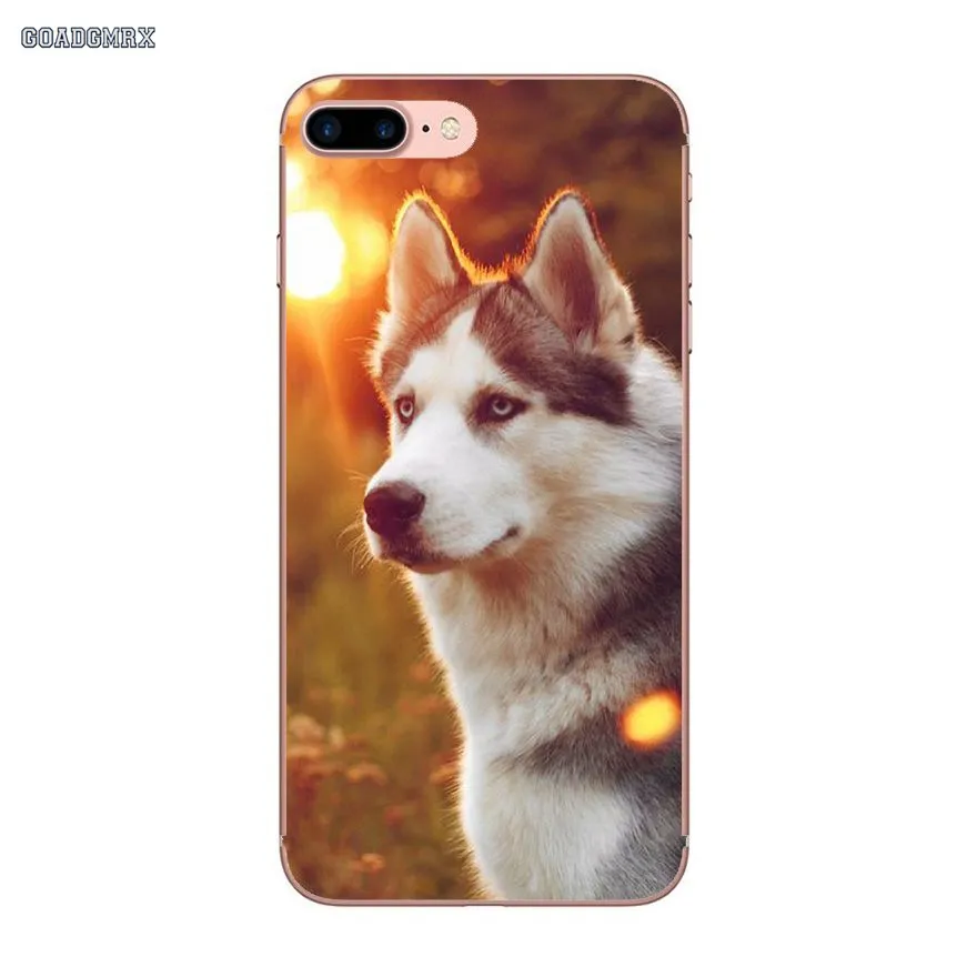 Прозрачные мягкие чехлы Pretty Siberian Husky Dogs для Samsung Galaxy S10 Lite J1 J2 J3 J5 J7 2015 2016 J4 J6 Plus J8 2018