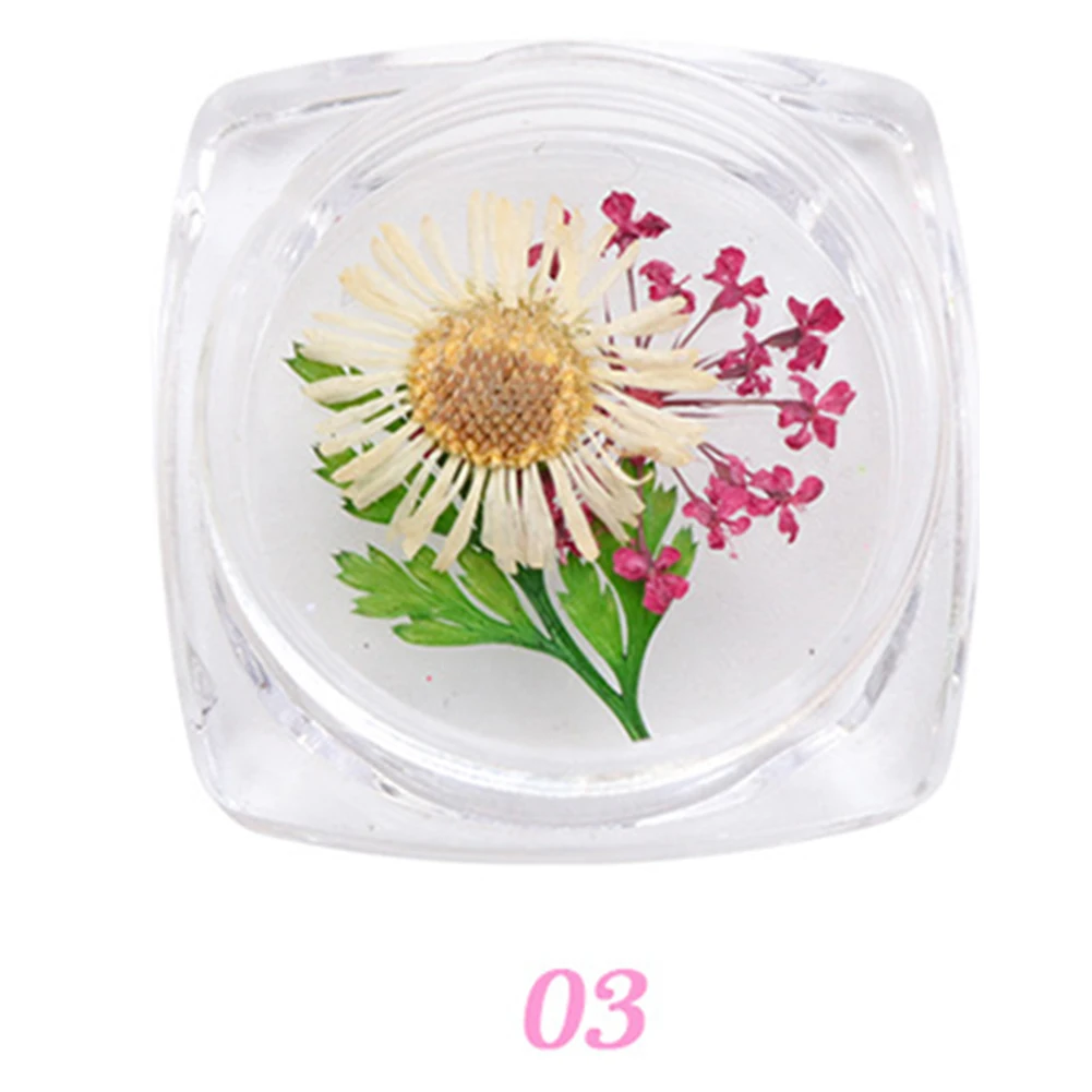 15 типов доступных 3D настоящие сухие цветы украшения для УФ гель ногтей Советы
