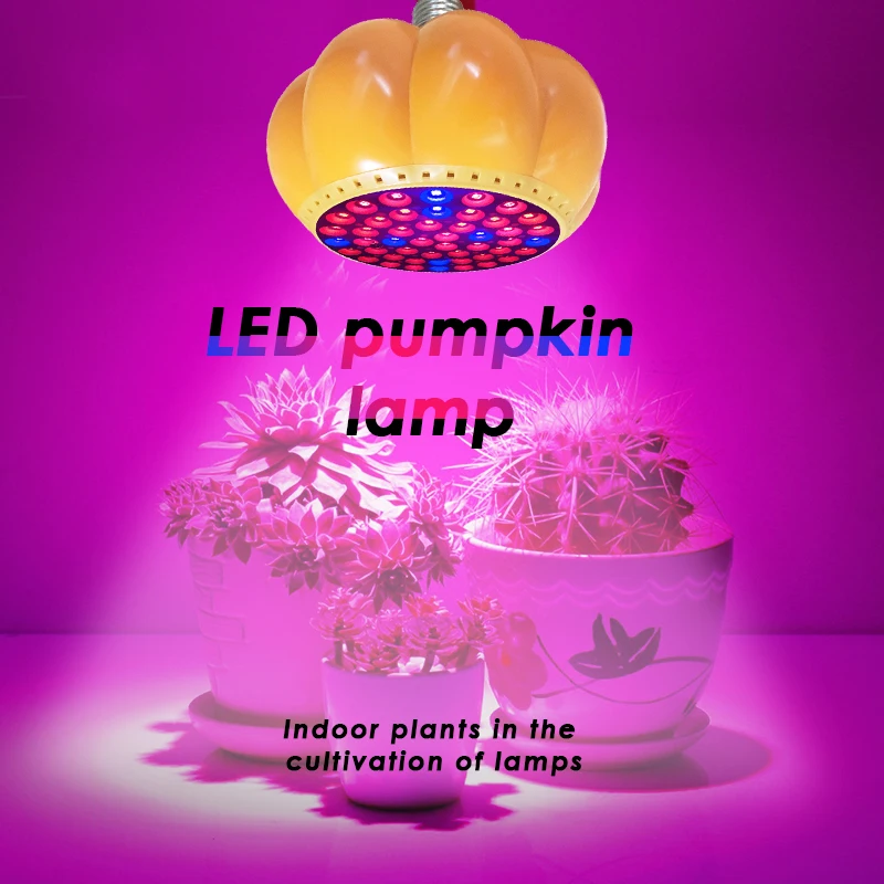 Тыква в форме E26 лампы держатель LED свет для выращивания растений лампа