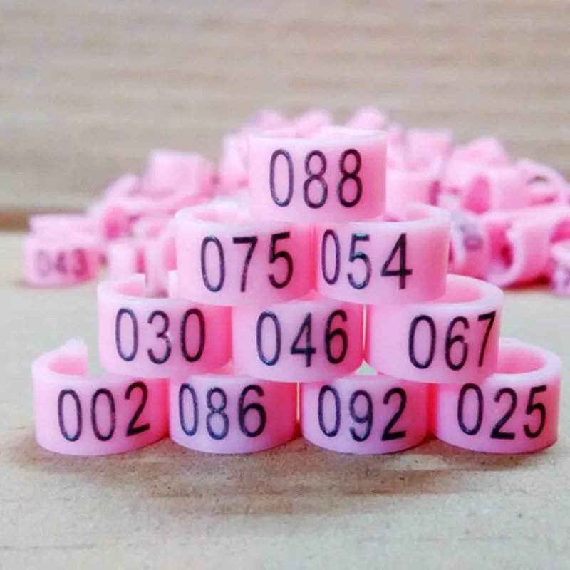 Голубь идентифицирует голубь полосы 8 мм пластиковые с кольцами Al GB