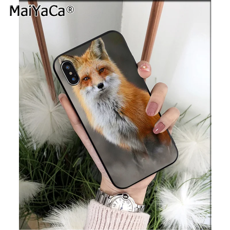 A4 MaiYaCa животное енот лиса высокое качество чехол для телефона iPhone X XS MAX 6 6S 7 7plus 8 8Plus 5 5S XR - Цвет: A4
