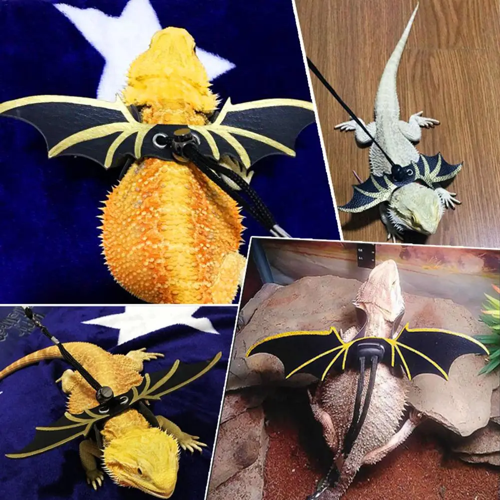 Поводок для поводка Lizard Angel Wing поводок рептилий домашних животных прогулок