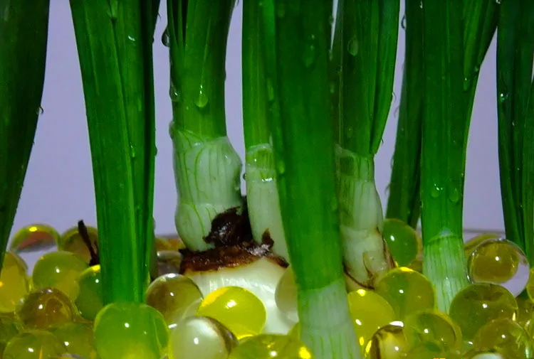 1000 частиц/партия воды Бусины Жемчужные в форме кристалла почвы бусины Грязь