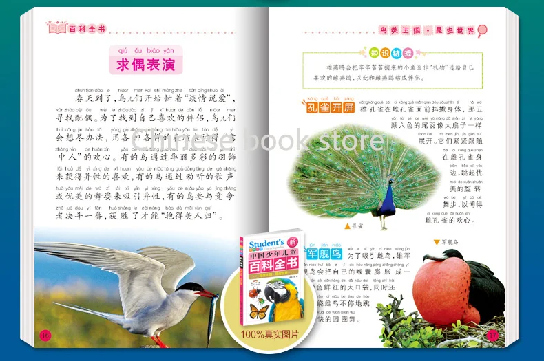 Детская Студенческая энциклопедия книга динозавра популярные школьные книги