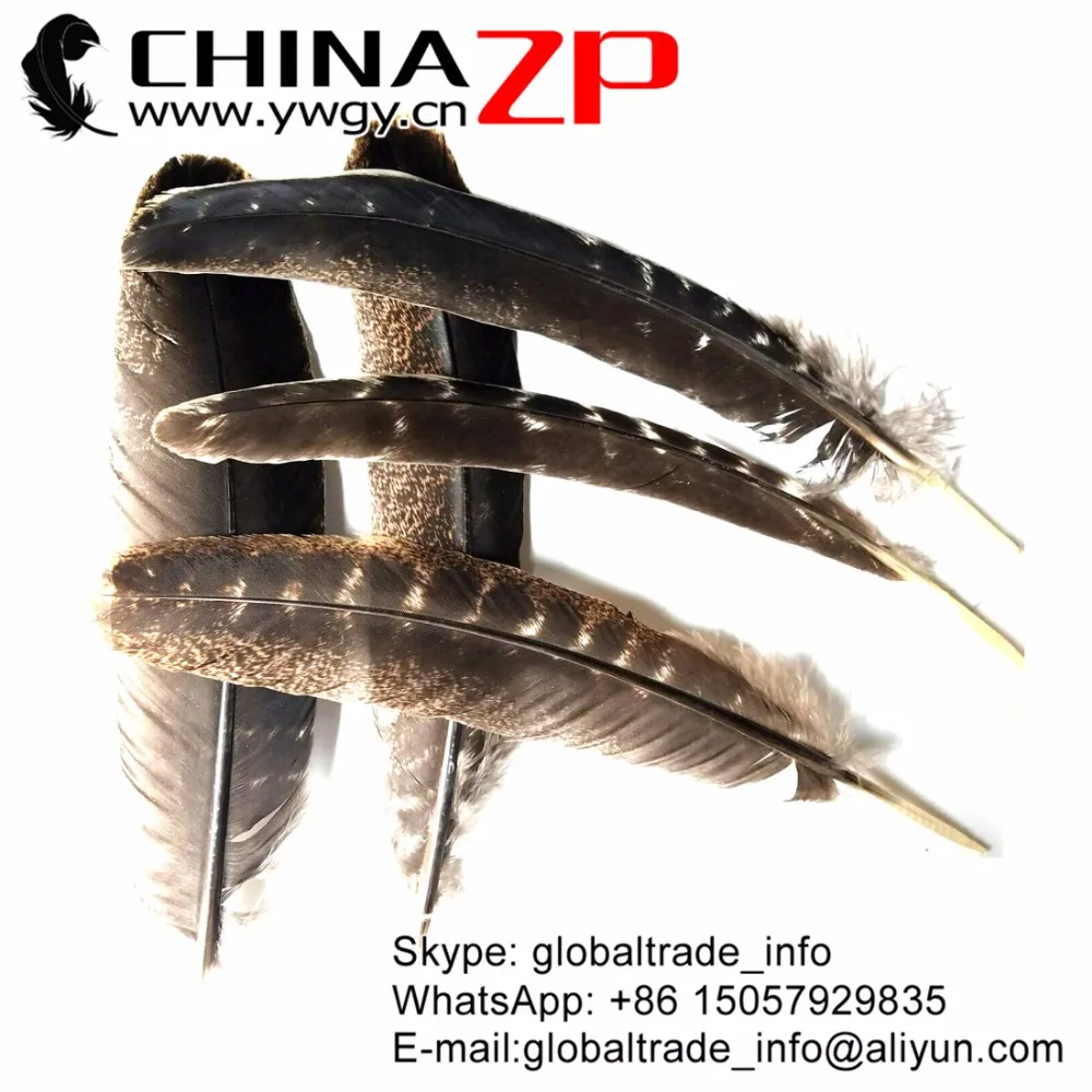Китайские перышки с перьями 50 шт./лот размеры от 20 до 28 см|quill feather|wild turkeyfeather quill |