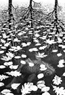Escher три миры печать Жикле Шелковый Плакат Украшение дома Настенная Наклейка
