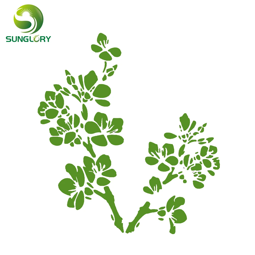 6 узоров цветок Фондант пирожное трафарет Свадебные украшения для торта формы