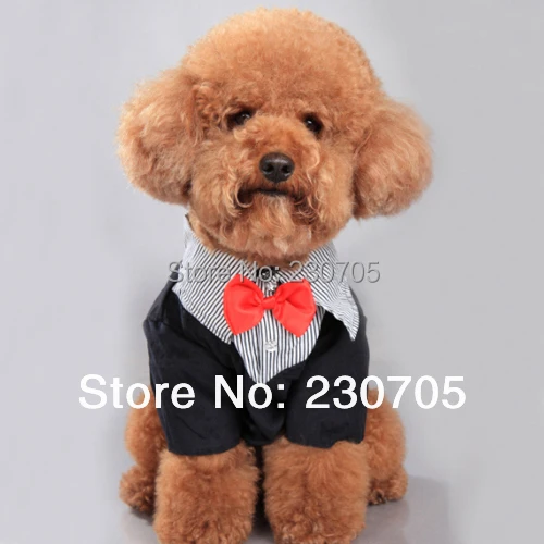 Официальный домашнее животное собака щенок одежда западный стиль костюм галстук