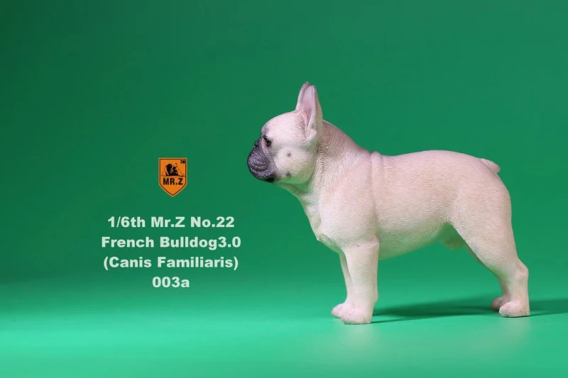 2 шт./набор 1/6 FD002 Французский бульдог 3,0 Canis ознакомление черная собака модель F коллекция 6 цветов для 1/6 фигурка