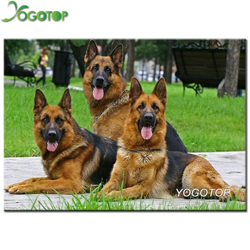 YOGOTOP 5D Алмазная вышивка крестиком на рисунке Пособия по немецкому языку пастырь