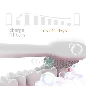 Sarmocare электрическая зубная щетка для взрослых USB Sonic перезаряжаемые зубные щетки с 3 сменными головками умный таймер водонепроницаемый