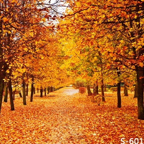 10x10FT Autumn Maple Trees Tunnel Fallen Leaves Path Garden Custom Photography Studio Backdrops Backgrounds Vinyl 8x8 8x10 8x15 - купить по