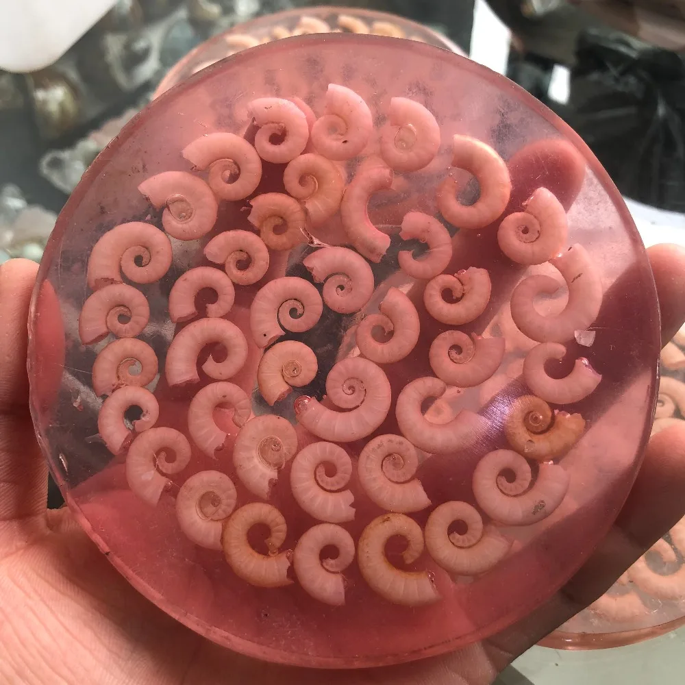 1 натуральный раковин срастается и используется для украшения|Камни| |