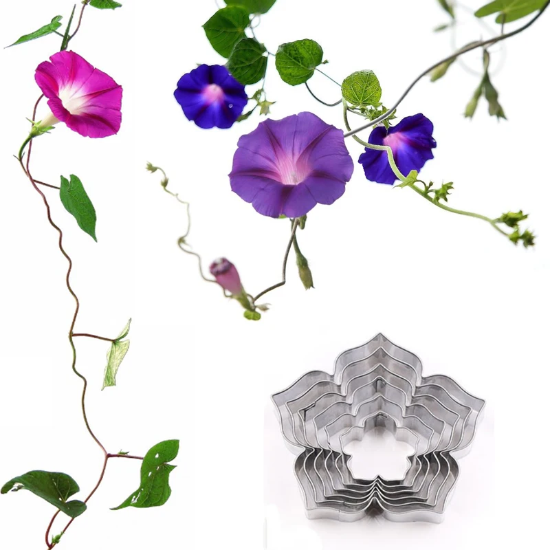 

Morning Glory Stainless Steel Cookie Cutter Pastry & Biscuit Baking Cutter Cake Decoration Tool Cupcake Mold Fondant Tools