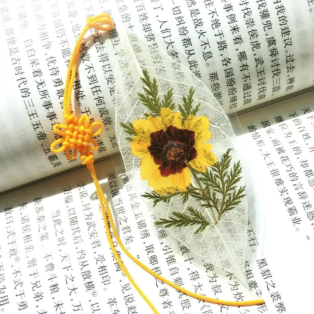 Глаза Змеи засушенный цветок хризантемы вены закладки натуральный сухих цветов