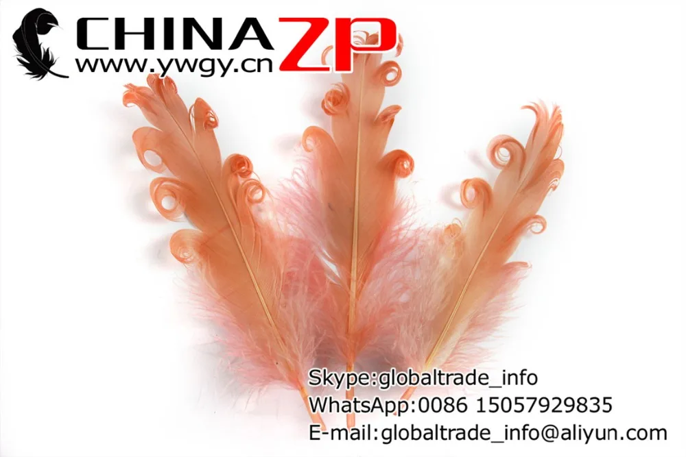100 шт./цвет/партия перья для волос | Дом и сад