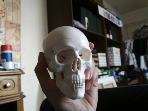 1PCS Mini Skull Human Anatomical Anatomy Head Medical Model Convenient 92x99x71mm Home Decoration