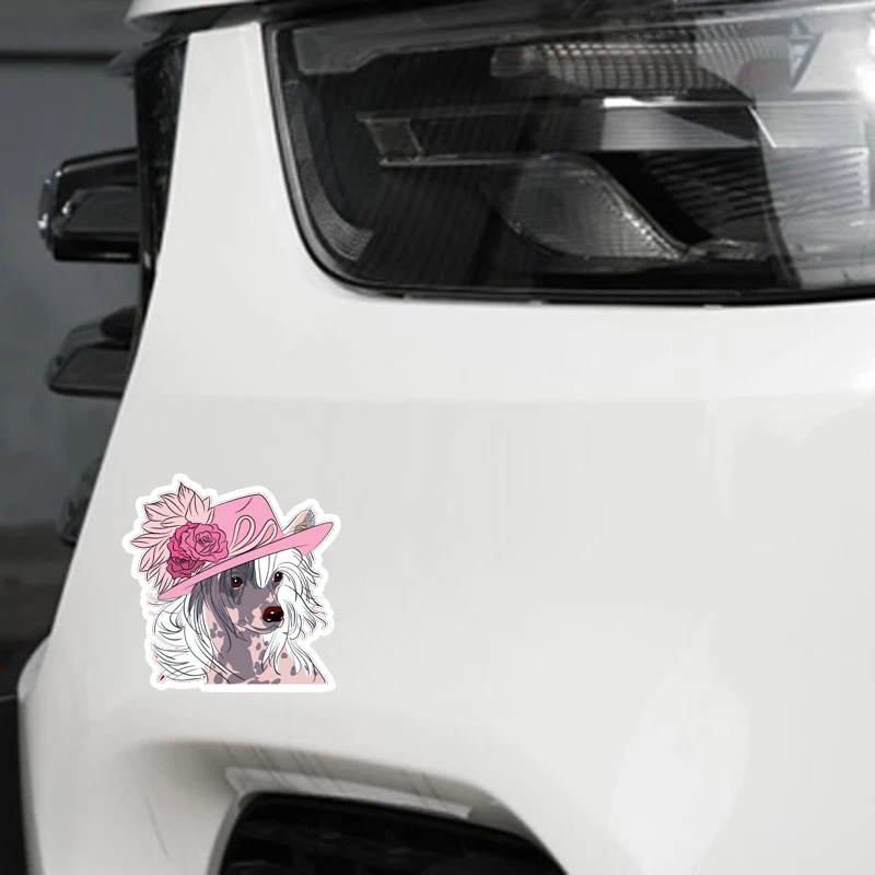 YJZT 12 7*12 7 см хипстерская наклейка на бампер в китайском стиле|car decoration|car decoration