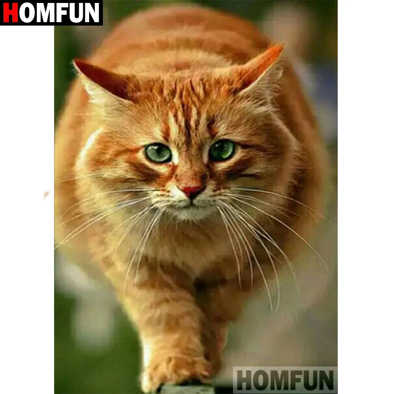 Алмазная живопись HOMFUN A16559 алмазная вышивка Кот квадратная/круглая для