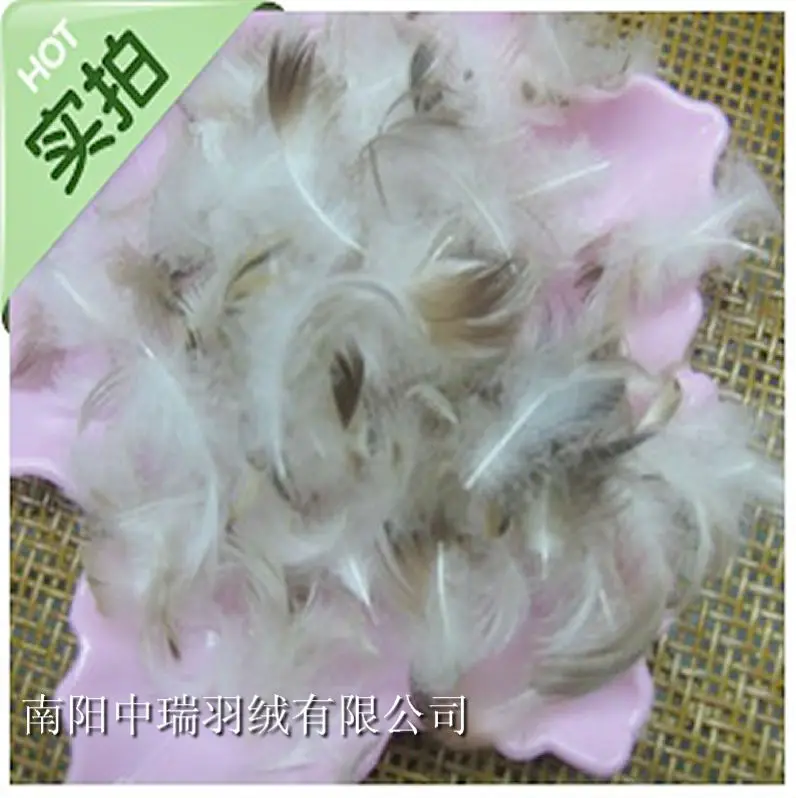 

Bulk feather &grey duck feather &pillow and sofa filler / Cushion and Mattress filler / pillow fight feather