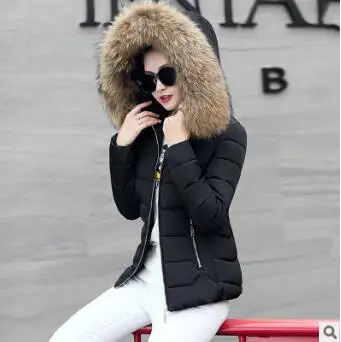 black huangmao Новинка, женский пуховик с подкладкой, зимнее теплое пальто, Большая Меховая толстовка с капюшоном, тонкое короткое пальто на молнии, Дамская элегантная зимняя куртка LZ878 - Цвет: black huangmao