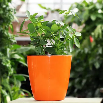 Автоматическая система очистки воды изъятия ленивый горшки - Цвет: No plant