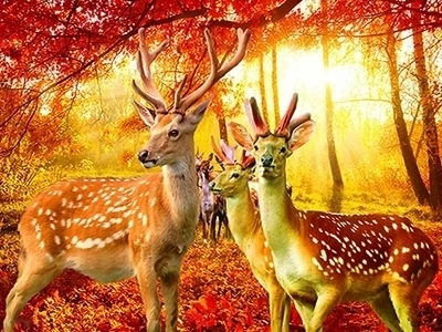 

LIPHISFUN Full Drill Diamond Painting Mosaic Handmade Cross Stitch Resin Embroidery Square/round Deer