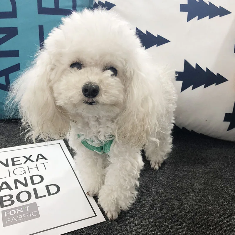 Новое поступление летние жилеты с принтом улыбки полосатая хлопковая одежда для