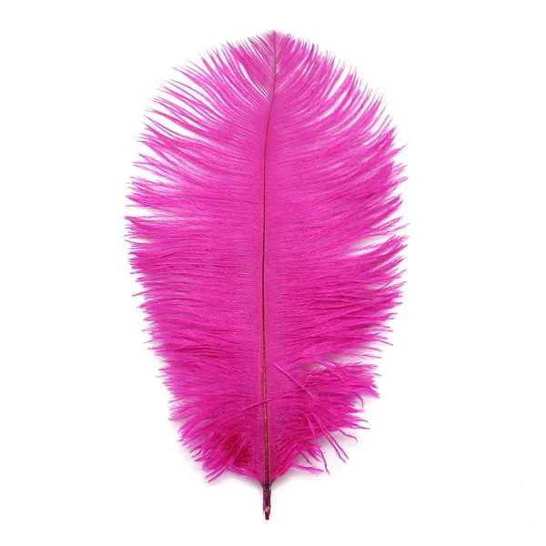 fuchsia 15-20 см(6-") страусиное перо 10 шт./лот 13 смешанных цветов Сделай Сам Изготовление ювелирных изделий и украшение для свадебной вечеринки - Цвет: fuchsia