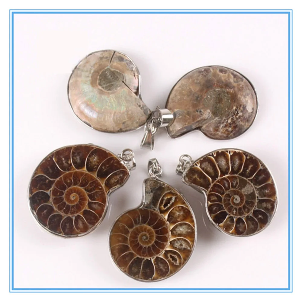 

24pcs Natural Stone Ammonite Fossils Seashell Snail Pendants Ocean Reliquiae Conch Animal Necklaces Statement Men Jewellery Free