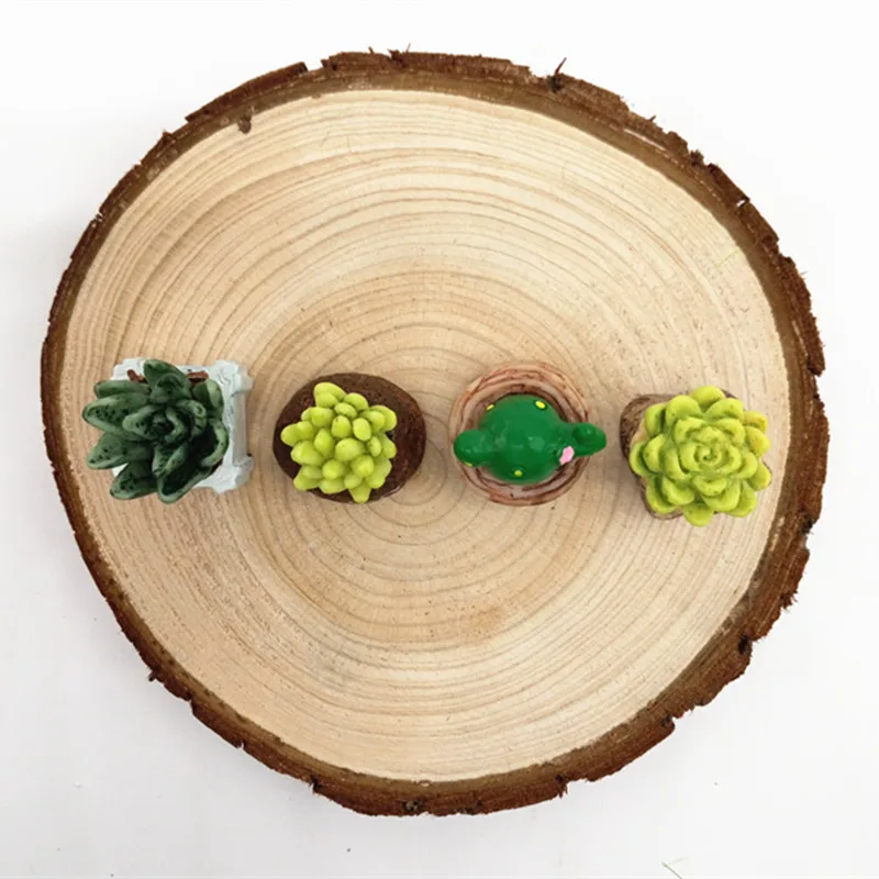 4 шт. суккуленты Цветочные растения мини бонсай миниатюрный Сказочный Сад