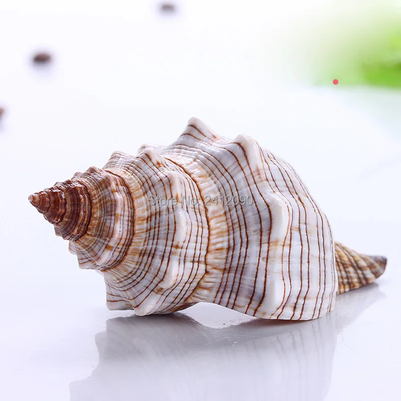 Супер большой окунь 5-10 см * Бесплатный подарок 60 шт маленький белый рыбки