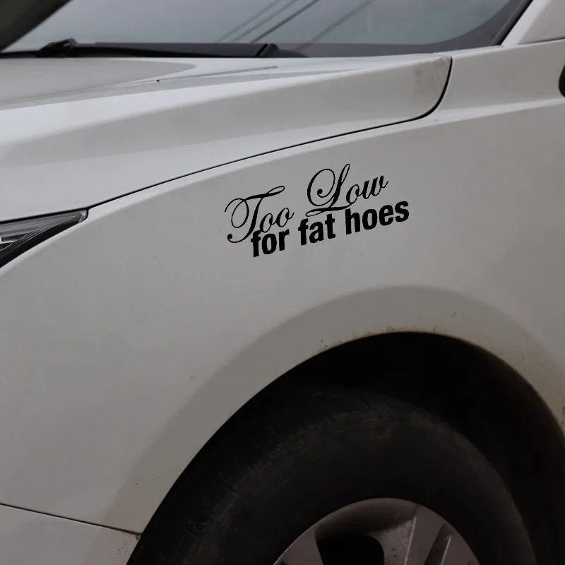 YJZT 13.9X5.3CM Too Low For Fat Hoes JDM Decal Vinyl Car Sticker Truck Window Black/Silver C26-0266 | Автомобили и мотоциклы