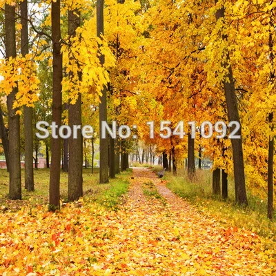 10x10 футов бесплатная доставка тонкий виниловый тканевый фон для фотосъемки