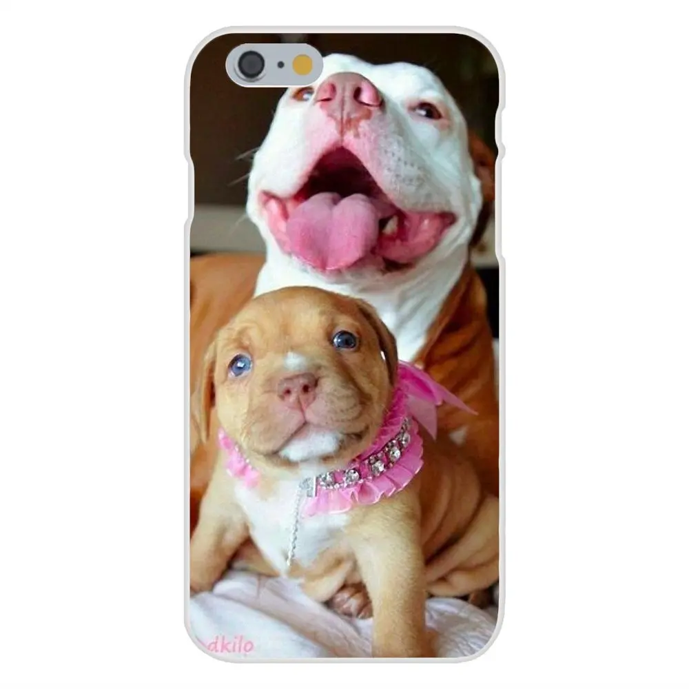 Pitbull Dog Для Galaxy J1 J2 J3 J330 J4 J5 J6 J7 J730 J8 2015 2016 2017 2018 mini Pro Специальное предложение