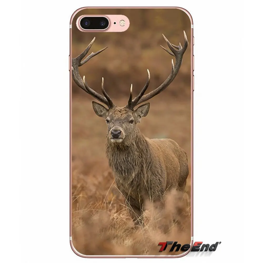 Аксессуары чехлы для телефонов iPhone X 4 4S 5 5S 5C SE 6 6S 7 8 Plus Samsung Galaxy J1 J3 J5 J7 A3 A5 2016 2017 Deer
