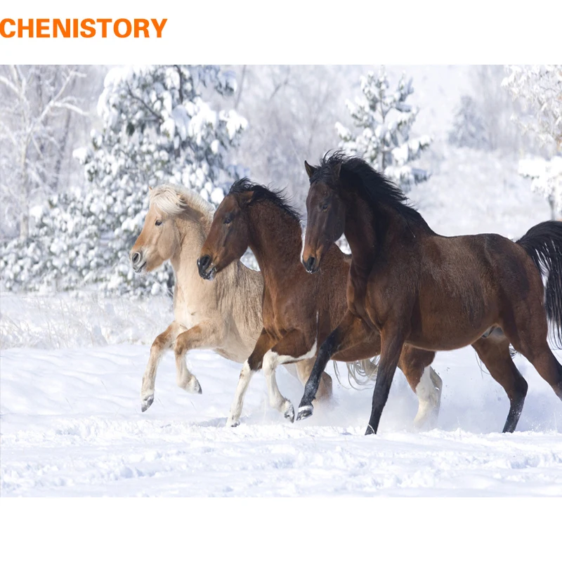 CHENISTORY Horse Animals DIY Краска по номерам современное настенное художественное