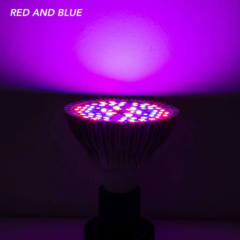 Red and Blue Growbox полный спектр светодиодный s для растений светодиодный светильник E27 30 W 50 W 80 W гидропоника с увеличительным индикатором света 220 V рассада для парника лампы - Испускаемый цвет: Red and Blue