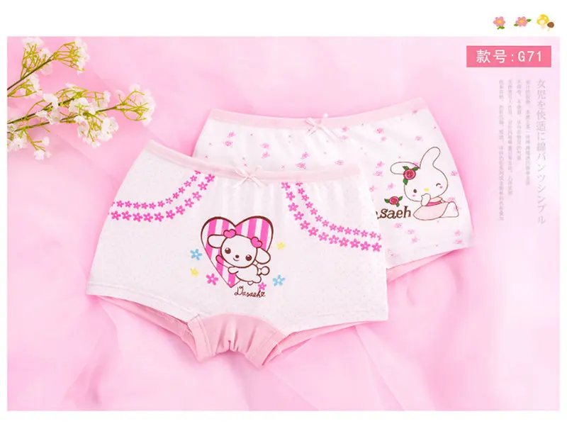 G71 2Pcs/set Girl Cotton Breathable Soft Cartoon Print Underwear Boxer Briefs Panties Cute Underpants Children's Shorts KF26 - Color: G71