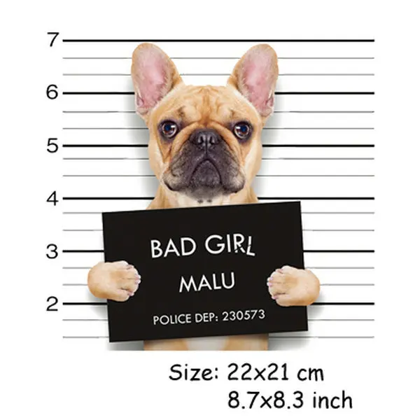 8.7x8.3&quot Bad Girl Dog Patch Iron On Cloth T-shirt Dresses Patches A-level Washable Heat Transfer Stickers DIY Printing Decor | Дом и сад