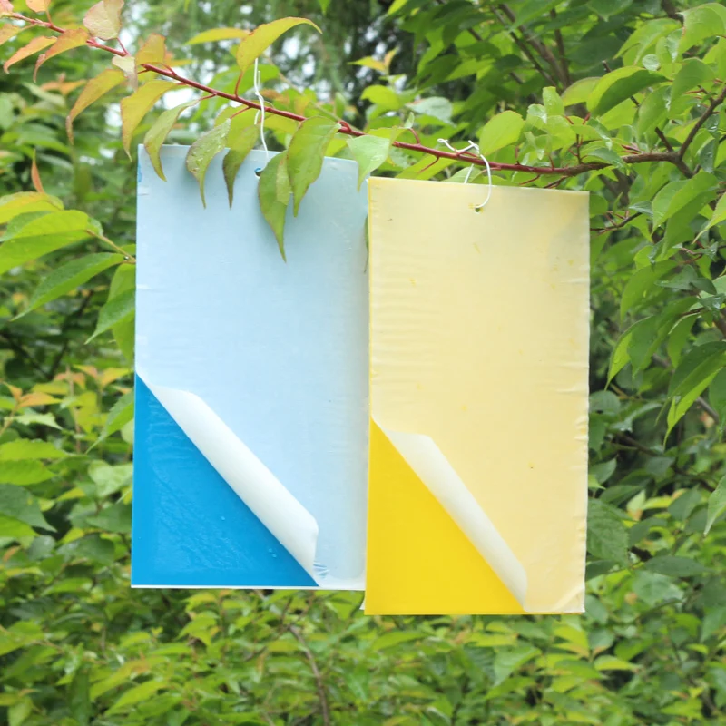 

20pcs/lot Sided PVCStrong Flies Traps Bed Bugs Sticky Board Catching Aphid Insects Killer Whitefly Thrip Gnat Fruitfly HH16174