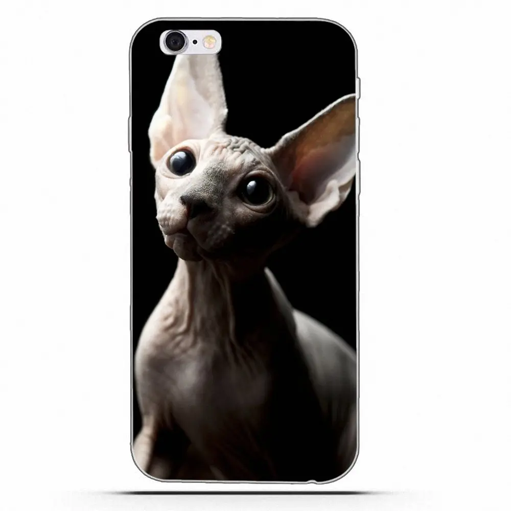 Чехол с кошкой для Samsung Galaxy A3 A5 A7 J1 J2 J3 J5 J7 2015 2016 2017 мягкие прозрачные силиконовые