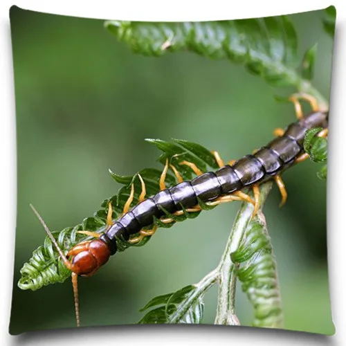 Подушка без внутренней ткани креативная насекомое полиэстер квадратный