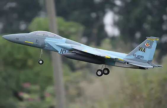 Радиоуправляемый самолет Freewing F15 64 мм PNP|plane radio|jet powered rc planesjet plane |