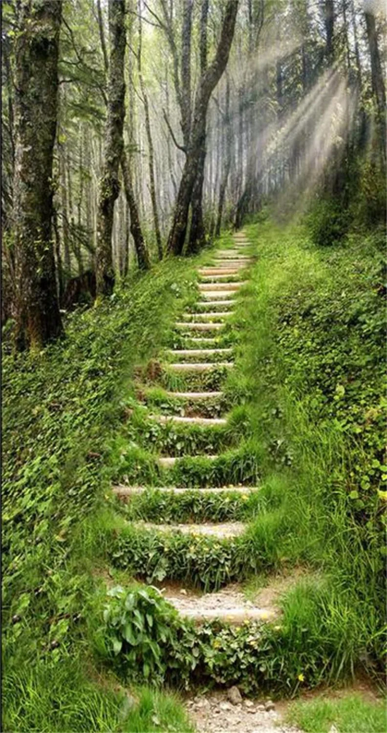 Настенные нетканые 3D-обои на заказ фотообои с изображением дорожек и леса