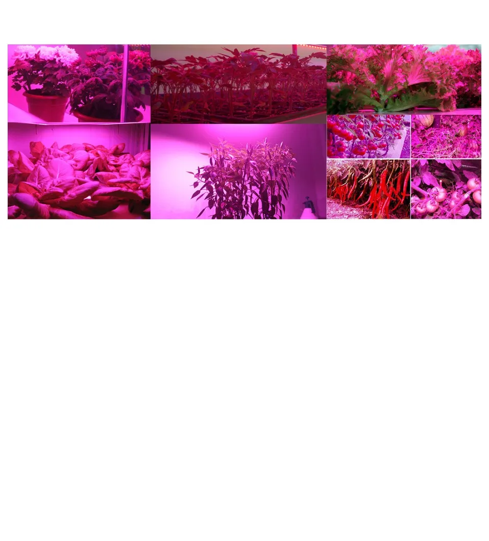 Mars Hydro TS 600W 1000W 2000W 3000W светодиодный светильник для выращивания солнечных лучей полный спектр комнатных растений Veg цветок гидропоника