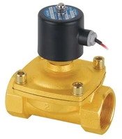 Free Shipping High Quality 2PCSLot 2W500-50-NO Electric Solenoid Valve Water Air NO AC220V 2 Normally Open Solenoid Valve